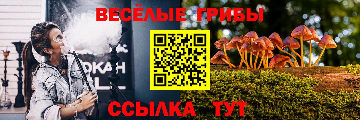 Псилоцибиновые грибы GOLDEN TEACHER Магнитогорск