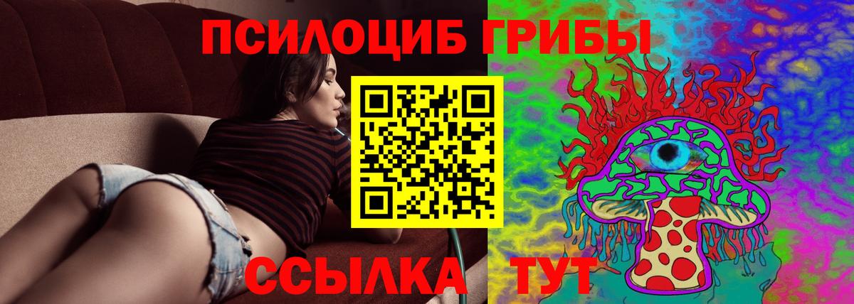 Галлюциногенные грибы Psilocybe  Вход с VPN  Магнитогорск  Галлюциногенные грибы Magic Shrooms 